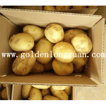 Fresh New Crop Potato From Shandong Origin